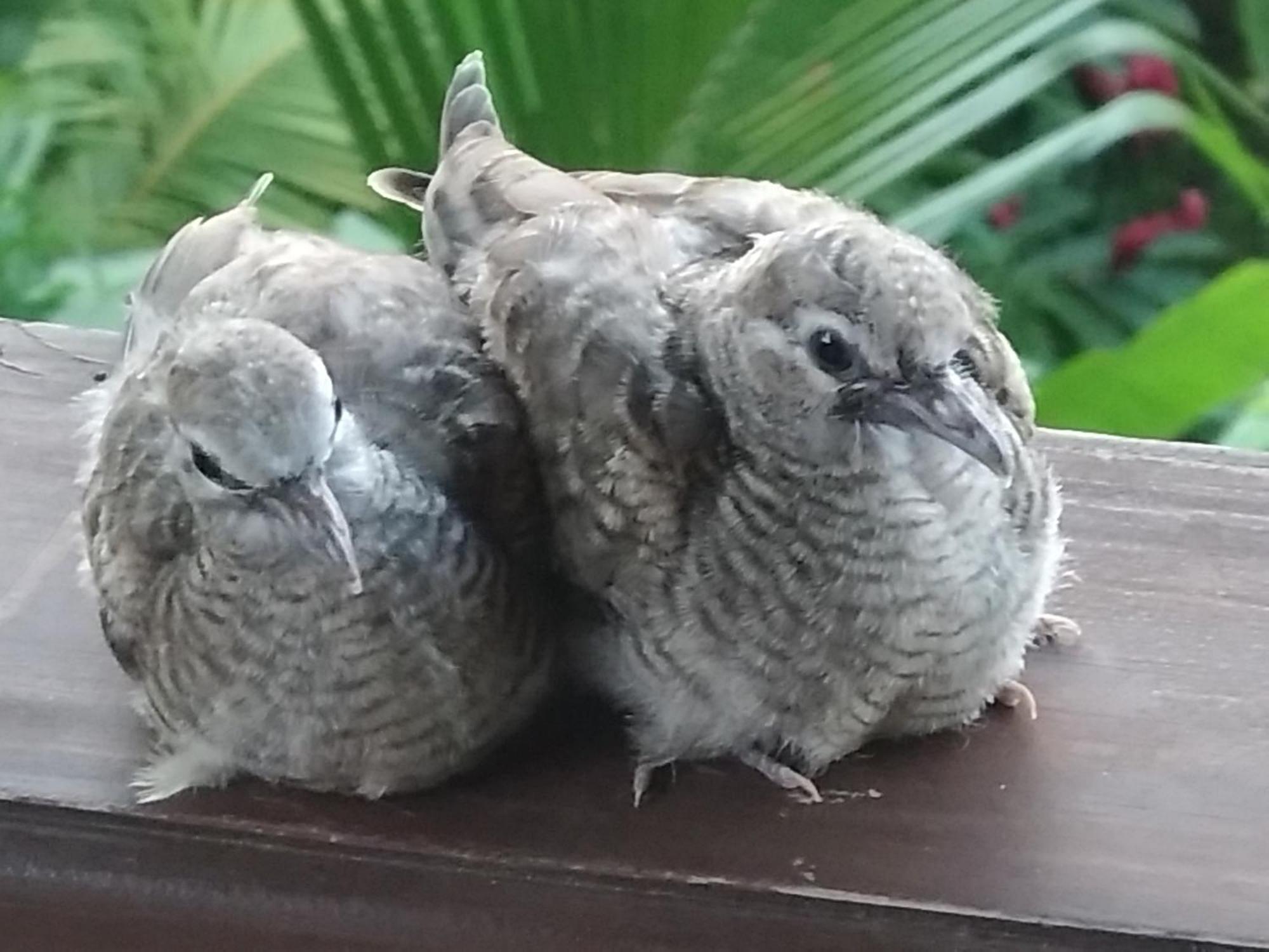 A Peace In Paradise Анс Роял Екстериор снимка